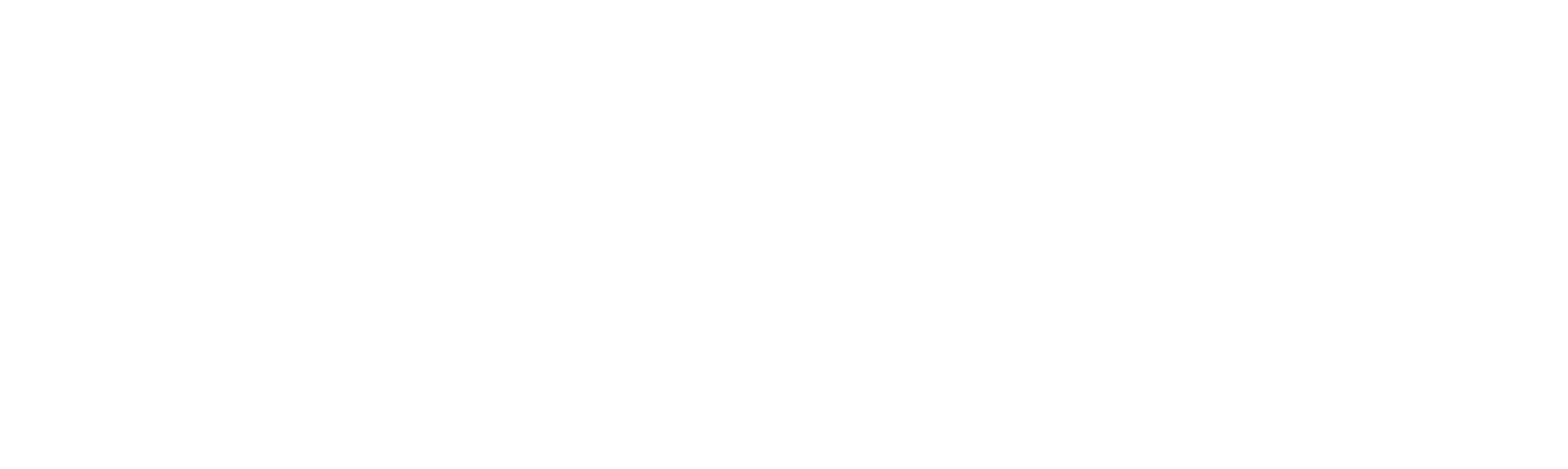 Nytwolf Logo